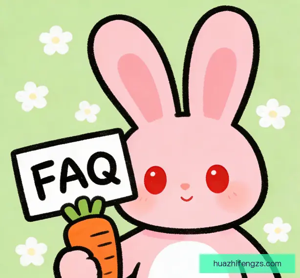 常见问题